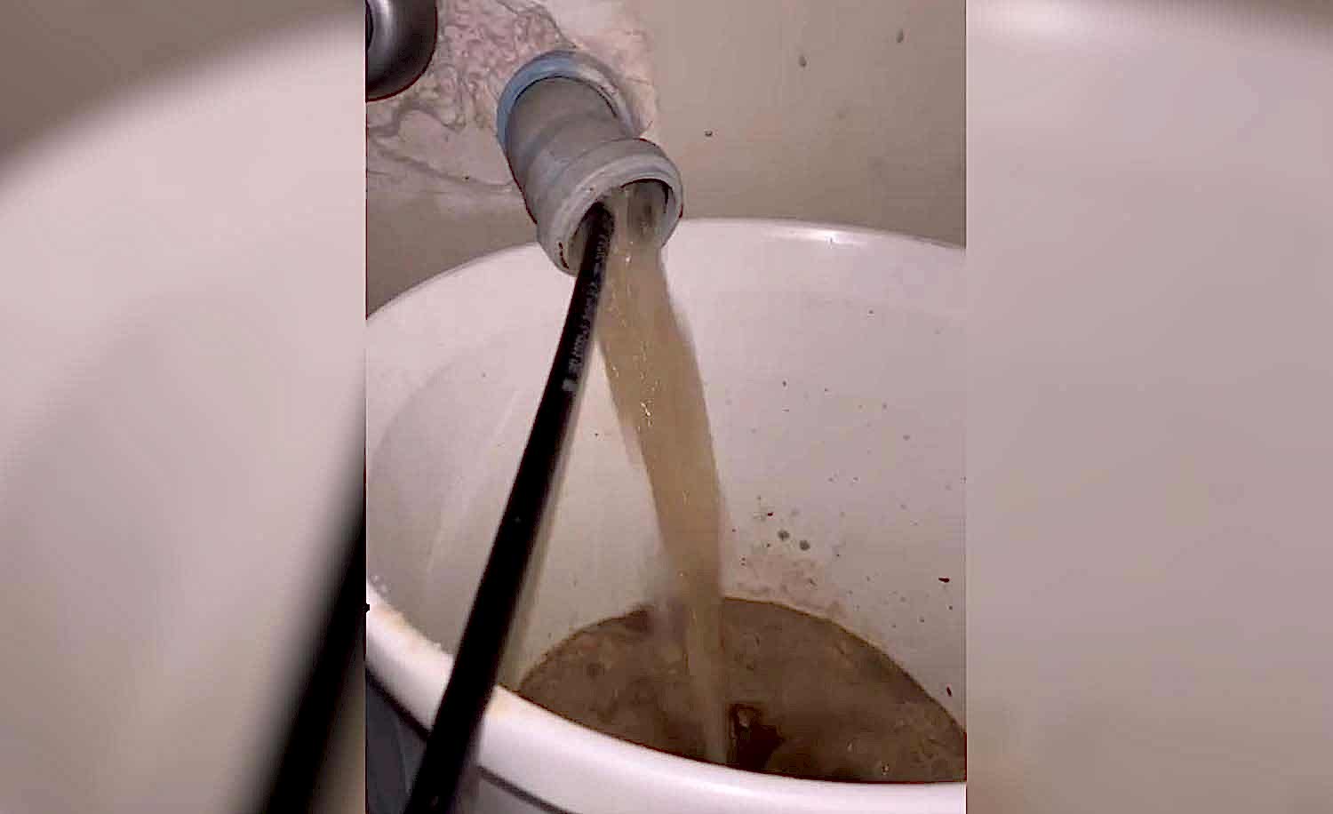 Yağlı Pimaş Yıkama